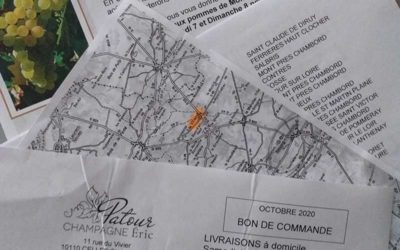 Foire aux pommes à Mont Prés Chambord (41)
