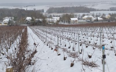 Il neige !