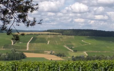 Juillet 2021 – Paysage Aubois