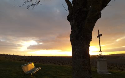 Février – Quand le soleil se couche sur les vignes