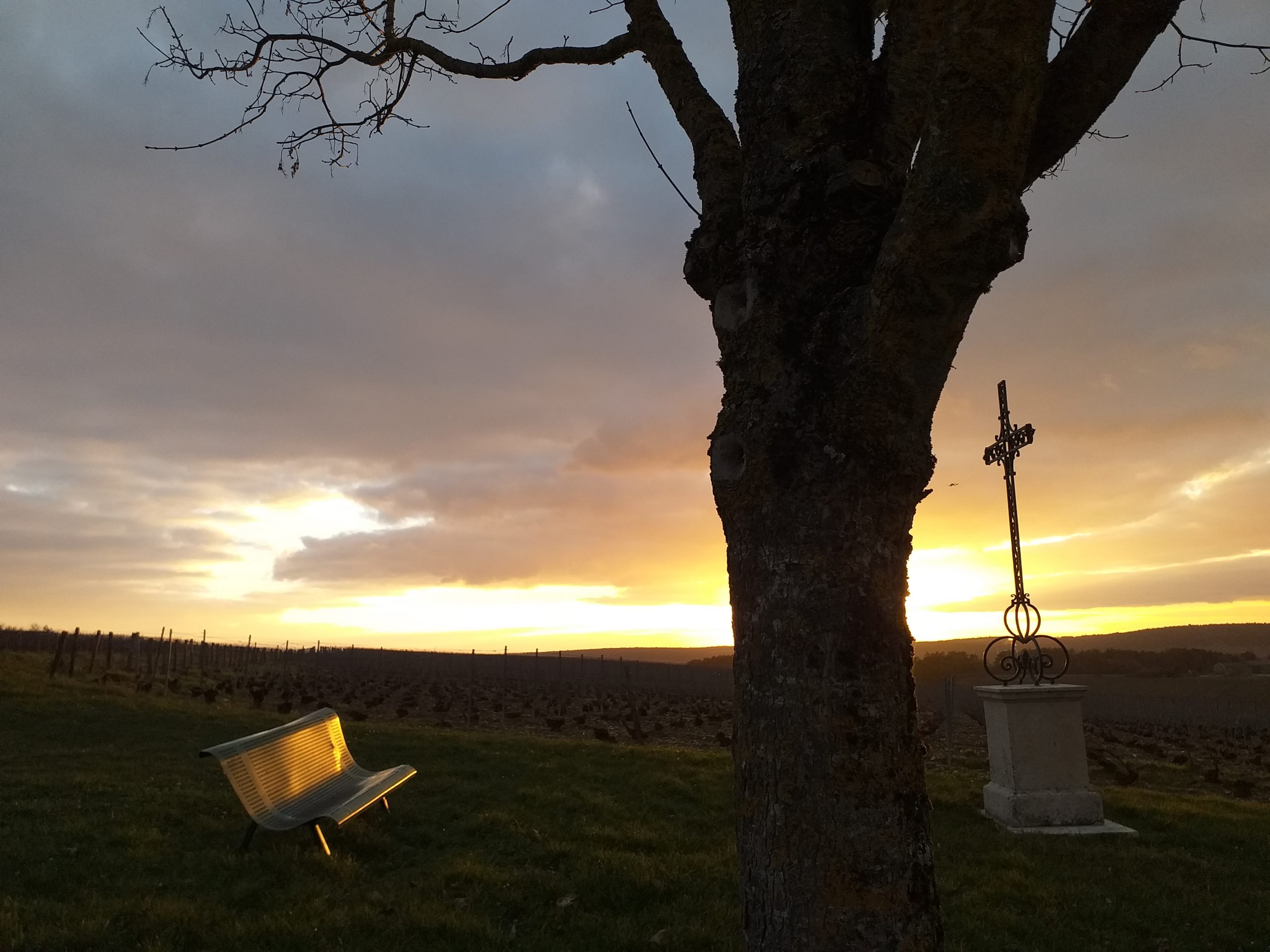 Février – Quand le soleil se couche sur les vignes