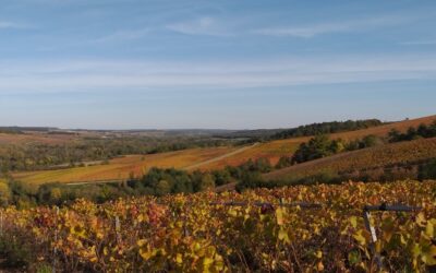 Octobre – Les couleurs d’automne !